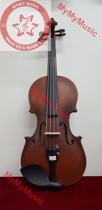 Violon