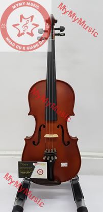 Violon