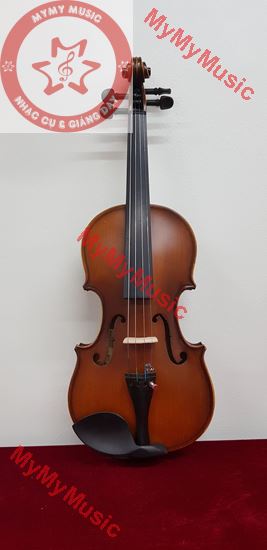 Violon